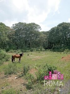 Terreno en venta, Jilotepec; Estado de México