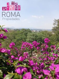 Local comercial en renta, calle Emiliano Zapata, col. 22 de febrero, Nicolas Romero, Estado de México