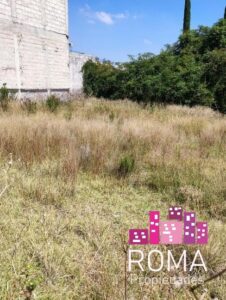 Terreno en venta, San Mateo Tecoloapan; López Mateos, Estado de México